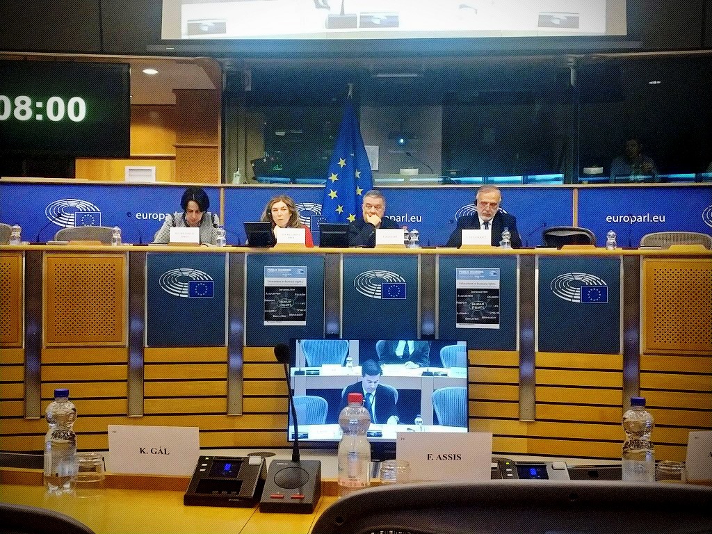 Comisionado en el Parlamento Europeo